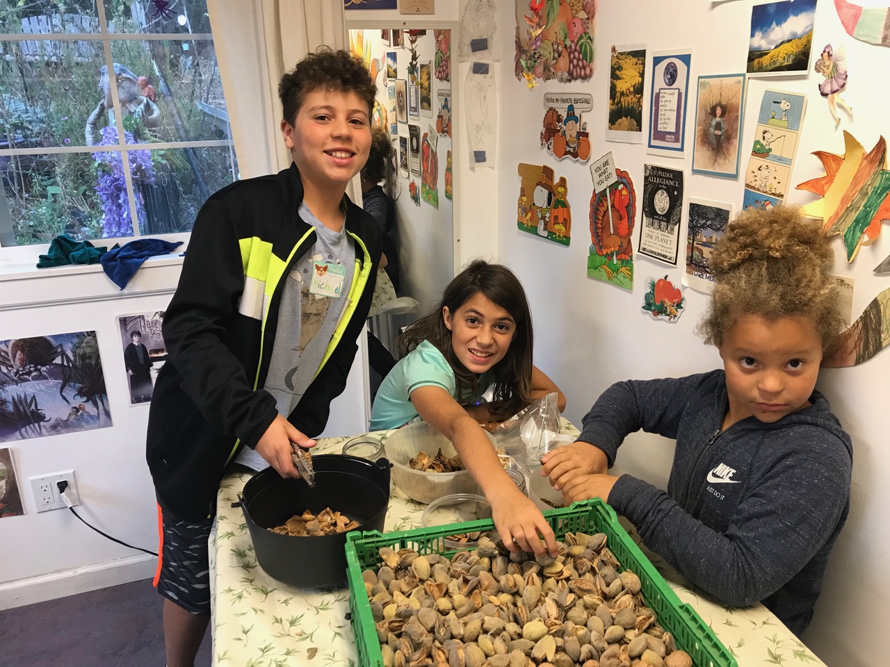 mary ellen hill FAD PAD