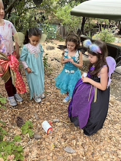 mary ellen hill FAD PAD