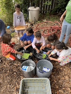 mary ellen hill FAD PAD