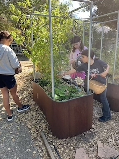 mary ellen hill FAD PAD