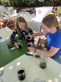 mary ellen hill FAD PAD