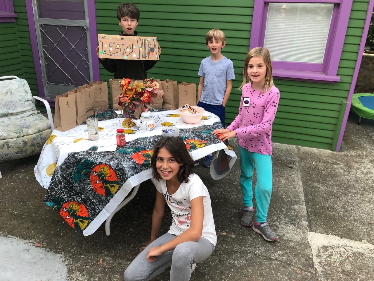 mary ellen hill FAD PAD