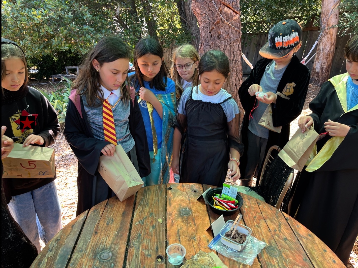 Mary Ellen Hill Winter / Starwitz #2 2025